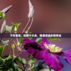(修肝是什么意思)修个肝仙不减反增版，游戏玩家的新福音？