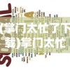 (掌门太忙了下载)掌门太忙了，现代企业管理者的忙碌日常与挑战解析