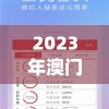 2023年澳门正版资料免费公开,全面了解最新正品的解答与应用_探险集.0.370
