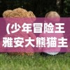(少年冒险王雅安大熊猫主人公)少年冒险王雅安大熊猫，探寻自然与冒险的交融