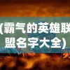 (霸气的英雄联盟名字大全)霸气的英雄联盟名字，游戏角色背后的故事与独特魅力