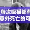 (每次吸猫都有意外死亡的可能吗)每次吸猫都有意外死亡，关于人与猫互动中的安全隐患探讨