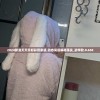 2024新澳天天开好彩管家婆,动态词语解释落实_初学款.0.658