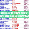 探秘新澳门王中王免费观看资料：最全面的玩法攻略和技巧分享