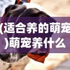 (适合养的萌宠)萌宠养什么好的全面指南，多样宠物的选择与养护