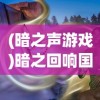 (暗之声游戏)暗之回响国际版，深度解析与常见问题解答