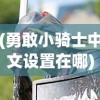 (勇敢小骑士中文设置在哪)勇敢小骑士游戏中文设置指南