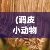 (大话西游手游网易版本客户端2024版本)大话西游手游网易版本客户端，深度解析与常见问题解答