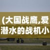 (大国战鹰,爱潜水的战机小说)大国战鹰，探索现代战争中的空中霸主