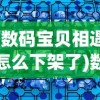 (精灵掌门人.txt)精灵掌门人全本TXT免费，深入解析与常见问题解答