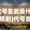 (代号玄武是什么电视剧)代号玄武，探寻神秘背后的真相