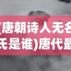 (唐朝诗人无名氏是谁)唐代最厉害的诗人无名氏，传世之作与传世之谜