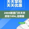 2004新澳门天天开好彩7456,诠释解析落实_苹果.0.119