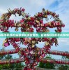 (我是侦探家厦门真人秀培训费8800)我是侦探家厦门，揭秘鹭岛神秘面纱下的侦探故事
