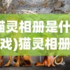 (猫灵相册是什么游戏)猫灵相册单机纪念版，深度解析与常见问题解答