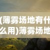 (薄雾场地有什么用)薄雾场地，有效还是无效？
