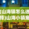 (山海镇怎么选择)山海小镇宠物攻略SSR，全方位指南与常见问题解答