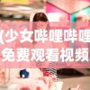 (少女哔哩哔哩免费观看视频)少女前线2追放wiki，探索游戏世界的深度指南