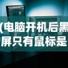 (电脑开机后黑屏只有鼠标是怎么回事)关于开机后电脑黑屏只有鼠标的问题解析及常见问答