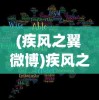 (疾风之翼 微博)疾风之翼微博，探索与启示