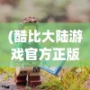 (酷比大陆游戏官方正版)酷比大陆游戏，探索奇幻世界的冒险之旅