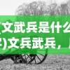 (文武兵是什么字)文兵武兵，历史演变与现代军事发展