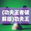 (功夫王者破解版)功夫王者游戏，深度分析与玩家指南
