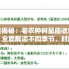 深度揭秘：老农种树星座收集攻略，全面解读不同季节、时间与地理条件下的星空观测技巧
