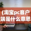 (淘宝pc客户端是什么意思)淘宝PC客户端，一站式购物体验的深度解析