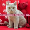 (口袋宠物小精灵)口袋宠物精灵宝贝：寻找失落的伙伴们，勇敢踏上冒险旅程