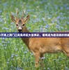 (吃吃吃的文案短句霸气)吃货的天堂，探索吃吃吃的世界