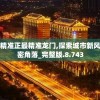 (代号tdx)代号TD，深度解析与多元应用探讨