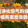 (净化空气的绿植有哪些去除烟味)净化空气的绿植，自然之肺的力量