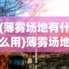 (薄雾场地有什么用)薄雾场地，挑战与机遇并存