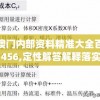 新澳门内部资料精准大全百晓生7456,定性解答解释落实_工具版.3.263