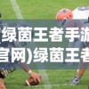 (绿茵王者手游官网)绿茵王者手游，竞技与策略的结合