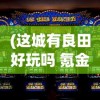 (这城有良田好玩吗 氪金强度怎么样)这城有良田，探索游戏乐趣的绝佳选择