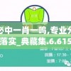 管家婆必中一肖一鸣,专业分析解释落实_典藏集.6.615