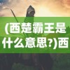 (robokill安卓版)Robokill 2安卓版，游戏深度分析与常见问题解答