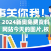 2024新奥免费资料网站今天的图片,权威分析解释落实_潮流版THE.5.659