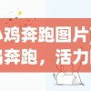 (小鸡奔跑图片)小鸡奔跑，活力四溢的自然探索之旅