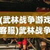 (武林战争游戏客服)武林战争客服，游戏与玩家的桥梁