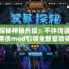 探秘神秘升级：不休传说黑侠mod引领全新冒险体验，融合创新元素打造极致游戏画面