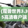 (魔兽世界3.35高清客户端视频)魔兽世界3.35高清客户端，游戏体验的深度解析与常见问题解答