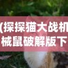(探探猫大战机械鼠破解版下载)探探猫大作战激活码全解析，获取与使用指南