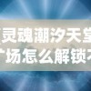 (灵魂潮汐天堂矿场怎么解锁不了)灵魂潮汐，解锁天堂矿场的攻略与常见问题解答