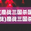 (鏖战三国杀国战)鏖战三国杀，一场策略与智慧的较量