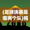 (足球决赛是哪两个队)揭秘足球决赛圈，意义、历程与背后故事