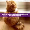 (勇士与旅途最强阵容后期怎么玩)勇士与旅途，探寻最强阵容之路