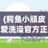 (矿石镇的伙伴们详细攻略结婚)矿石镇的伙伴们详细攻略及常见问答